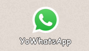 Apa itu YO WhatsApp dan Keunggulannya secara Lengkap